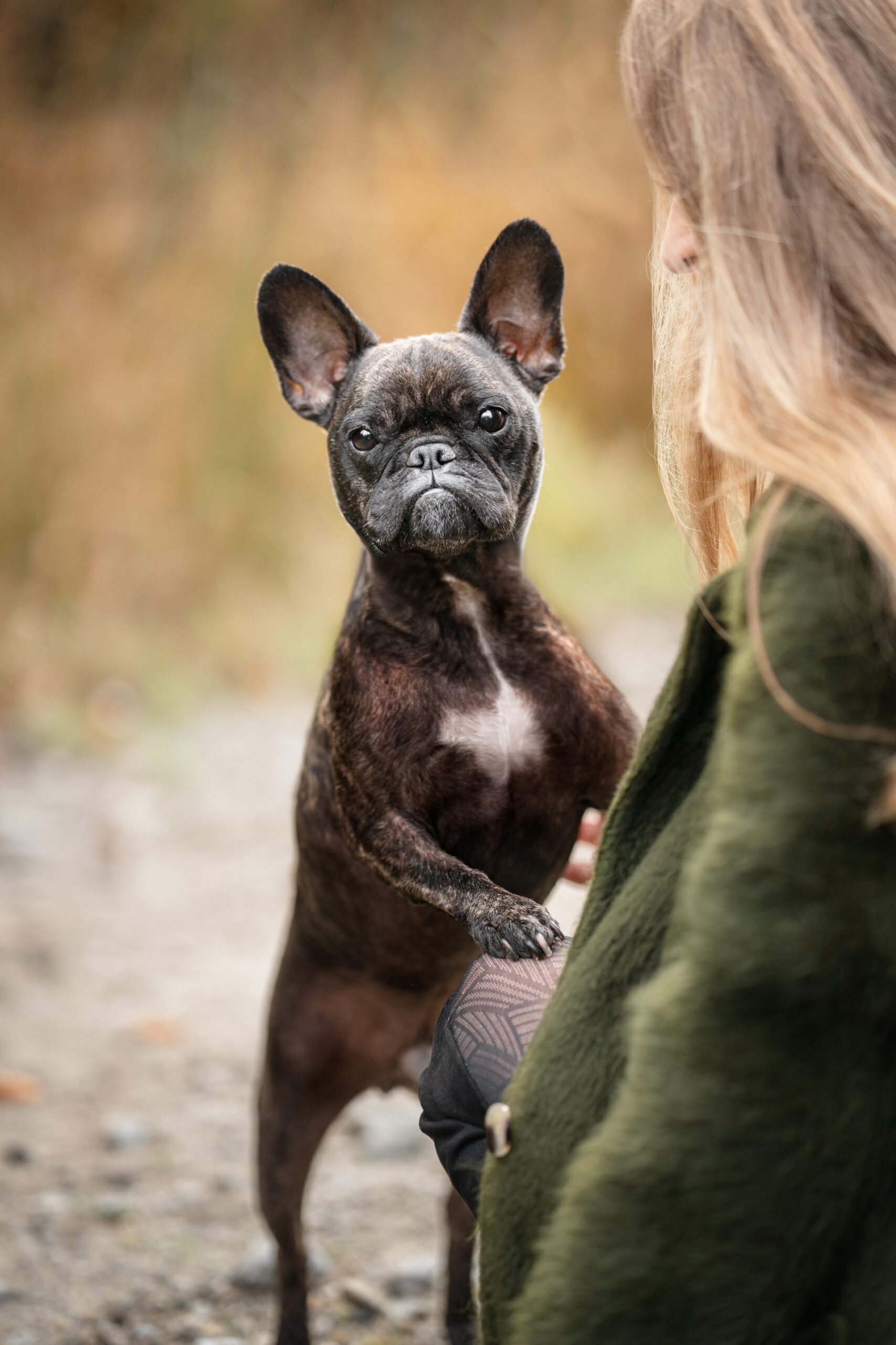 Hundefotografie Passau Bayern Sarahsfotowerkstatt