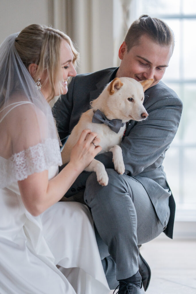 Hochzeiten Fotografin Passau Bayern Tierfotografin